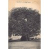 Rare collectable postcards of MADAGASCAR. Vintage Postcards of MADAGASCAR