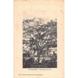 Rare collectable postcards of MADAGASCAR. Vintage Postcards of MADAGASCAR