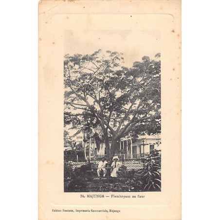 Rare collectable postcards of MADAGASCAR. Vintage Postcards of MADAGASCAR