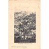Rare collectable postcards of MADAGASCAR. Vintage Postcards of MADAGASCAR
