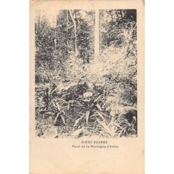 Rare collectable postcards of MADAGASCAR. Vintage Postcards of MADAGASCAR