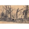 Rare collectable postcards of MADAGASCAR. Vintage Postcards of MADAGASCAR