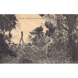 Rare collectable postcards of MADAGASCAR. Vintage Postcards of MADAGASCAR