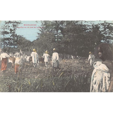 Rare collectable postcards of MADAGASCAR. Vintage Postcards of MADAGASCAR