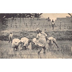 Rare collectable postcards of MADAGASCAR. Vintage Postcards of MADAGASCAR