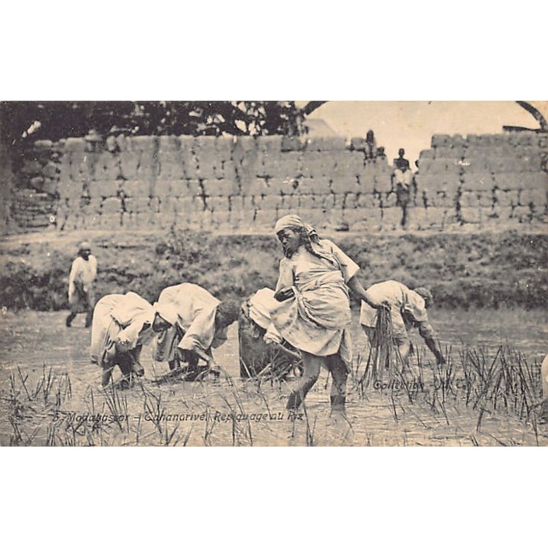 Rare collectable postcards of MADAGASCAR. Vintage Postcards of MADAGASCAR
