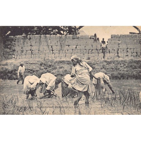 Rare collectable postcards of MADAGASCAR. Vintage Postcards of MADAGASCAR
