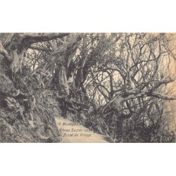 Rare collectable postcards of MADAGASCAR. Vintage Postcards of MADAGASCAR