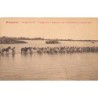 Rare collectable postcards of MADAGASCAR. Vintage Postcards of MADAGASCAR