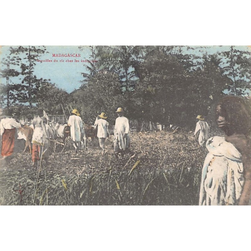Rare collectable postcards of MADAGASCAR. Vintage Postcards of MADAGASCAR