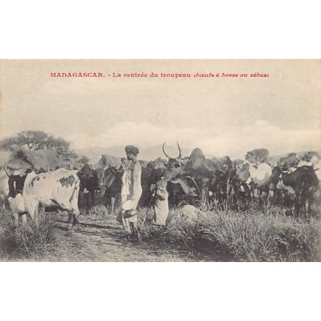 Rare collectable postcards of MADAGASCAR. Vintage Postcards of MADAGASCAR