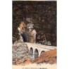 Rare collectable postcards of MADAGASCAR. Vintage Postcards of MADAGASCAR