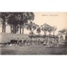 Rare collectable postcards of MADAGASCAR. Vintage Postcards of MADAGASCAR