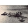 Rare collectable postcards of MADAGASCAR. Vintage Postcards of MADAGASCAR