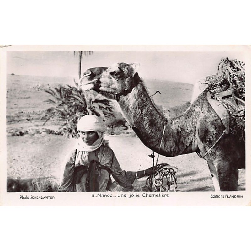 Rare collectable postcards of MOROCCO. Vintage Postcards of MOROCCO
