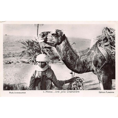 Rare collectable postcards of MOROCCO. Vintage Postcards of MOROCCO
