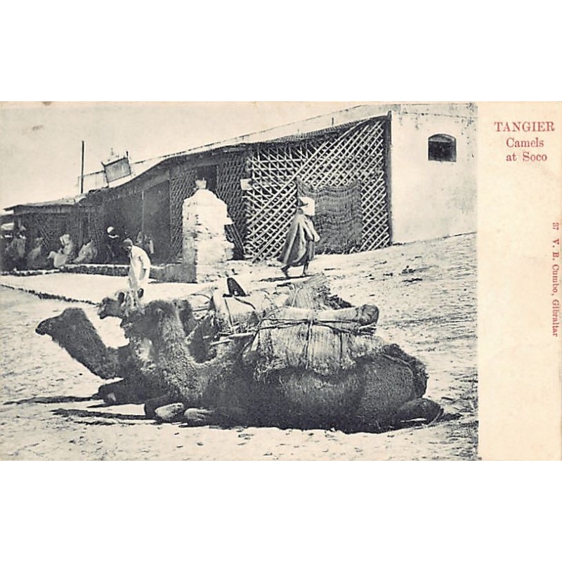 Rare collectable postcards of MOROCCO. Vintage Postcards of MOROCCO