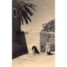 Rare collectable postcards of MOROCCO. Vintage Postcards of MOROCCO
