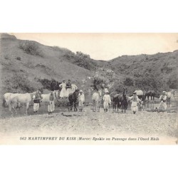 Rare collectable postcards of MOROCCO. Vintage Postcards of MOROCCO