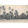 Rare collectable postcards of MOROCCO. Vintage Postcards of MOROCCO