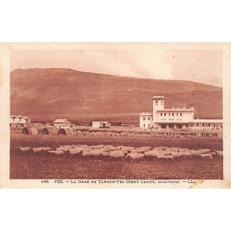 Rare collectable postcards of MOROCCO. Vintage Postcards of MOROCCO