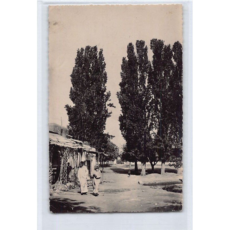 Rare collectable postcards of MOROCCO. Vintage Postcards of MOROCCO