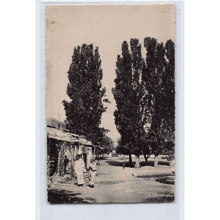 Rare collectable postcards of MOROCCO. Vintage Postcards of MOROCCO