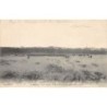 Rare collectable postcards of MOROCCO. Vintage Postcards of MOROCCO