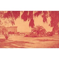 Rare collectable postcards of MOROCCO. Vintage Postcards of MOROCCO