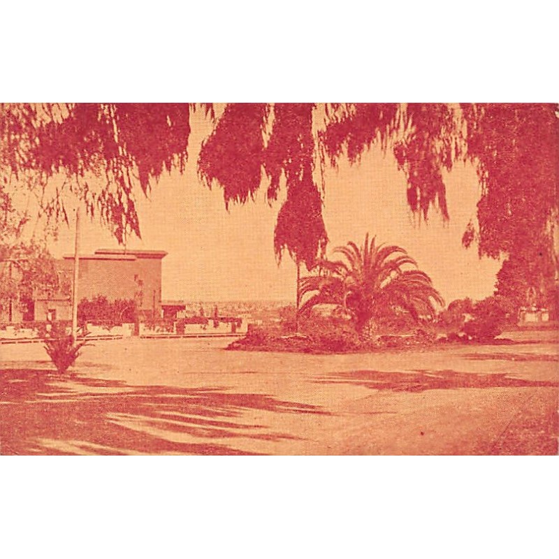 Rare collectable postcards of MOROCCO. Vintage Postcards of MOROCCO