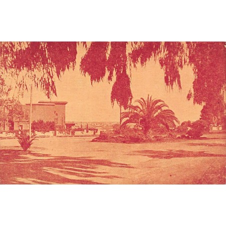 Rare collectable postcards of MOROCCO. Vintage Postcards of MOROCCO