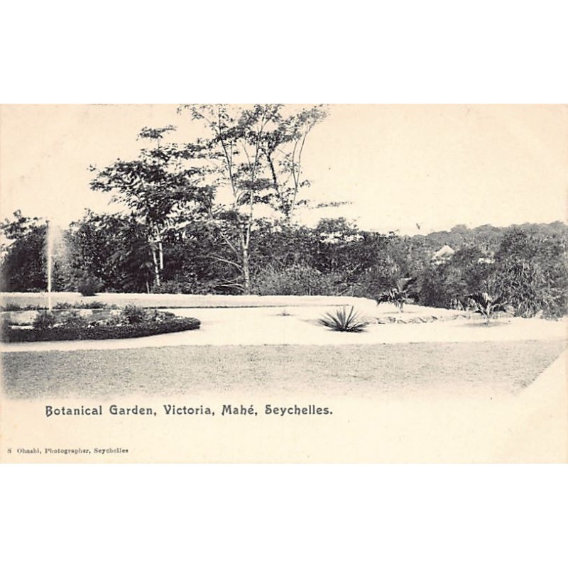 Rare collectable postcards of SEYCHELLES. Vintage Postcards of SEYCHELLES