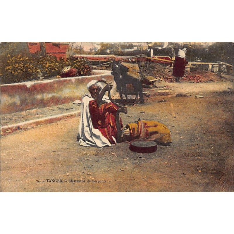 Rare collectable postcards of MOROCCO. Vintage Postcards of MOROCCO