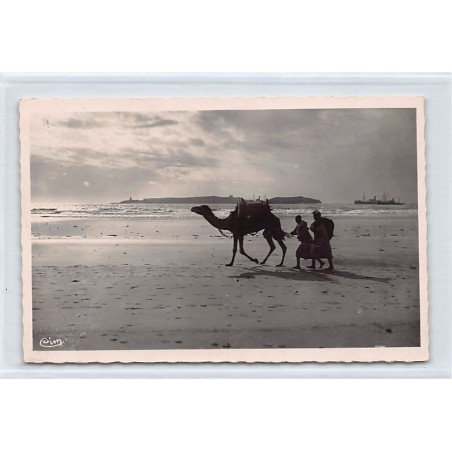 Rare collectable postcards of MOROCCO. Vintage Postcards of MOROCCO
