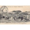 Rare collectable postcards of MOROCCO. Vintage Postcards of MOROCCO