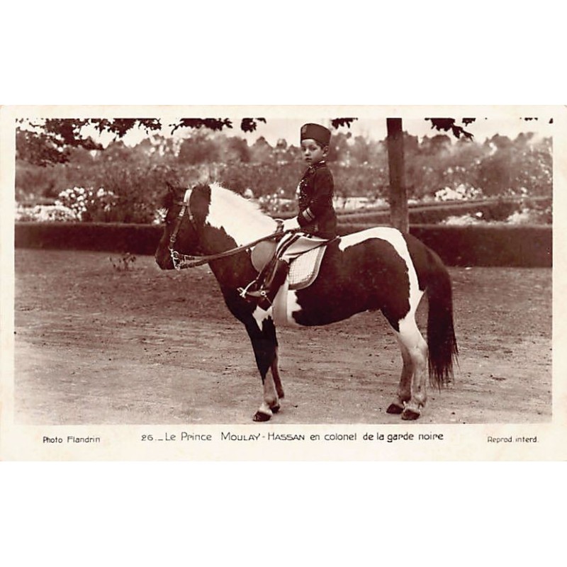 Rare collectable postcards of MOROCCO. Vintage Postcards of MOROCCO