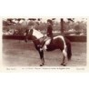 Rare collectable postcards of MOROCCO. Vintage Postcards of MOROCCO