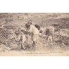 Rare collectable postcards of MOROCCO. Vintage Postcards of MOROCCO