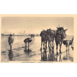 Rare collectable postcards of MOROCCO. Vintage Postcards of MOROCCO