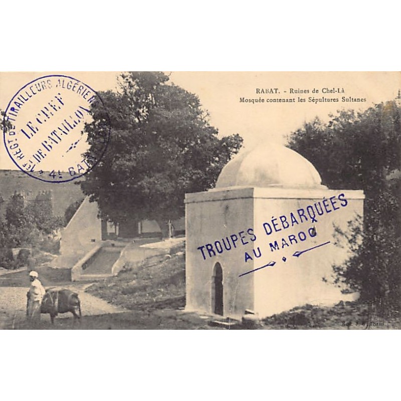 Rare collectable postcards of MOROCCO. Vintage Postcards of MOROCCO