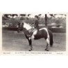 Rare collectable postcards of MOROCCO. Vintage Postcards of MOROCCO