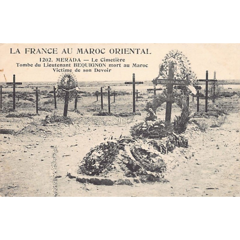 Rare collectable postcards of MOROCCO. Vintage Postcards of MOROCCO
