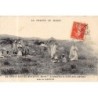 Rare collectable postcards of MOROCCO. Vintage Postcards of MOROCCO
