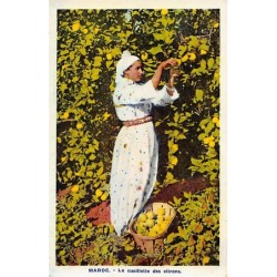 Rare collectable postcards of MOROCCO. Vintage Postcards of MOROCCO