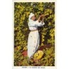 Rare collectable postcards of MOROCCO. Vintage Postcards of MOROCCO