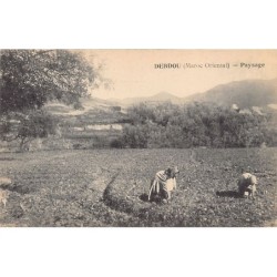 Rare collectable postcards of MOROCCO. Vintage Postcards of MOROCCO