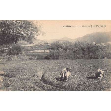 Rare collectable postcards of MOROCCO. Vintage Postcards of MOROCCO