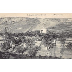 Rare collectable postcards of MOROCCO. Vintage Postcards of MOROCCO