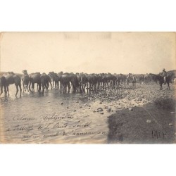 Rare collectable postcards of MOROCCO. Vintage Postcards of MOROCCO