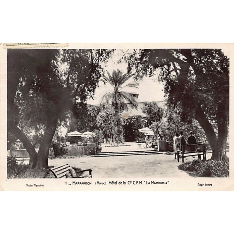Rare collectable postcards of MOROCCO. Vintage Postcards of MOROCCO